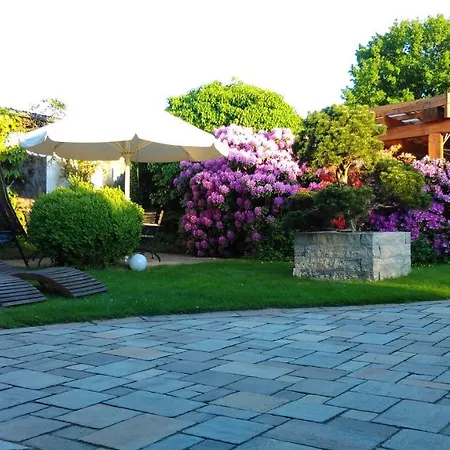 Ferienwohnung Am Kurpark Ostrau Бад-Шандау Экстерьер фото